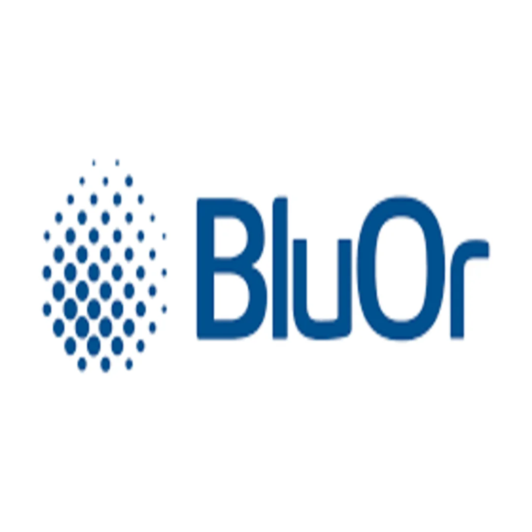 BluOr bank